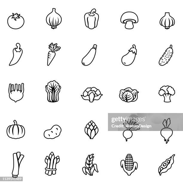 vegetables line icons - crucifers stock illustrations