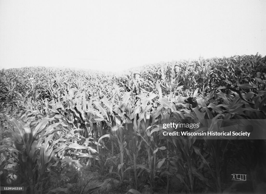 P. Langlais Farm