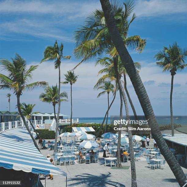 View of palm trees at a beach resort in Boca Raton, Florida, April 1978.