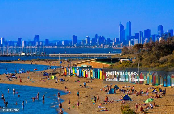 people on brighton beach in summer - brighton beach melbourne stock pictures, royalty-free photos & images