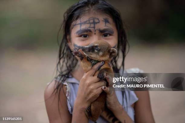 An Arara indigenous girl poses holding a baby racoon at the Laranjal tribal camp, in Arara indigenous land, Para state, in the northern Brazilian...