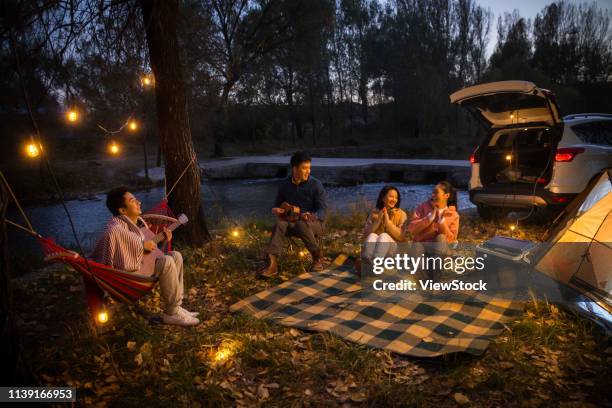 young men and women in the outdoor camping - night picnic stock pictures, royalty-free photos & images