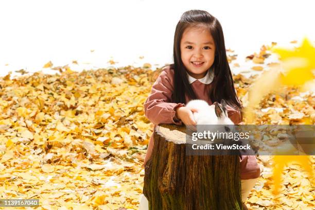the little girl and little rabbit - lolita girls fotografías e imágenes de stock