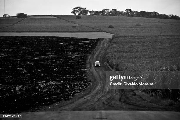 brazil - workers - agriculture - sugar cane - divaldo moreira imagens e fotografias de stock