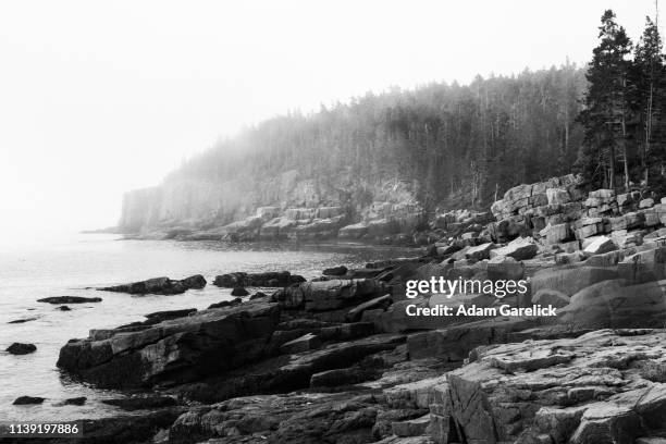 morning fog engulfs the rocky coastline of acadia national park in mount desert island, maine - engulfs stock pictures, royalty-free photos & images