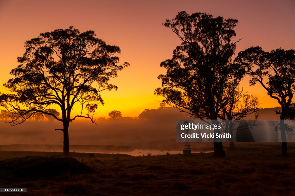 Vibrant Colored Sunrise with Tree featured