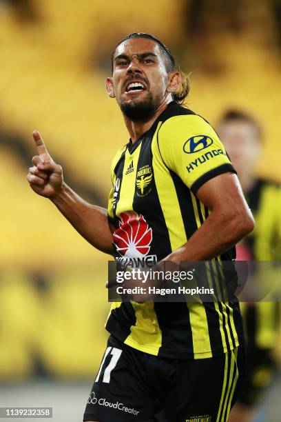 David Williams of the Phoenix celebrates after scoring a goal during the round 23 A-League match between the Wellington Phoenix and Newcastle Jets at...