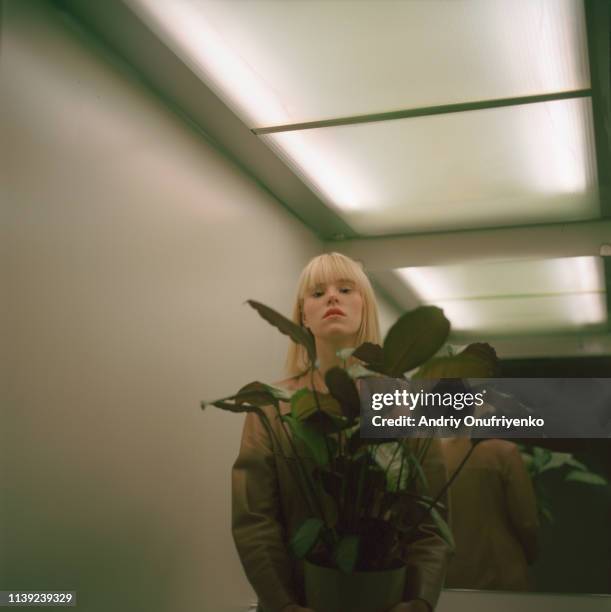 mysterious housewife - paranoia stock pictures, royalty-free photos & images