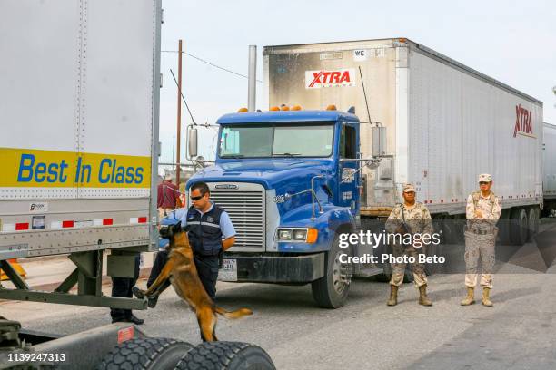 a mexican border police k9 unit checks trucks waiting to cross the us-mexico border in mexicali in baja california - calexico california stock pictures, royalty-free photos & images