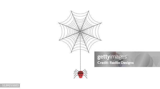 stockillustraties, clipart, cartoons en iconen met spider web icoon - animals in captivity