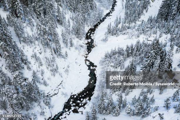 river along snowy woods, davos, switzerland - davos stock-fotos und bilder