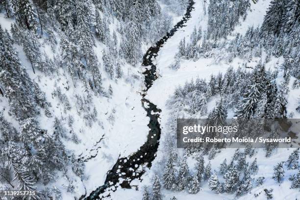 river along snowy woods, davos, switzerland - davos 2019 stock pictures, royalty-free photos & images