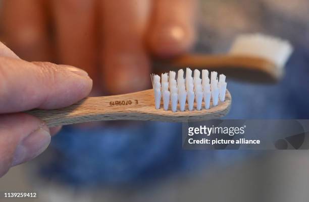 April 2019, Baden-Wuerttemberg, Karlsruhe: One hand holds a wooden toothbrush from alverde Naturkosmetik. The toothbrush is a new addition to the dm...