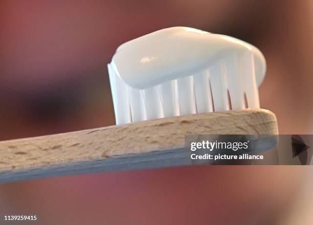 April 2019, Baden-Wuerttemberg, Karlsruhe: Toothpaste is applied to a wooden toothbrush from alverde Naturkosmetik. The toothbrush is a new addition...