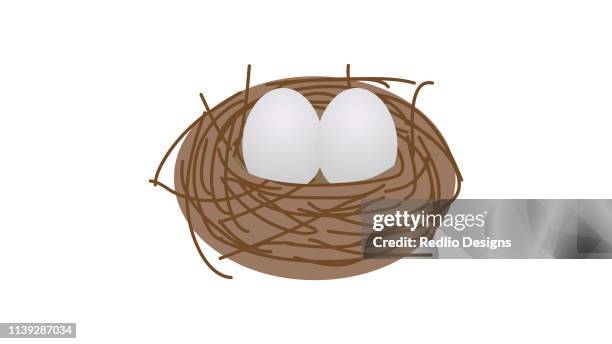 egg in nest icon - birds nest stock illustrations
