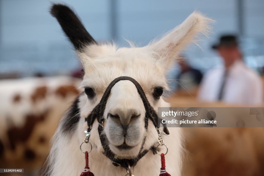 Agricultural exhibition Agra
