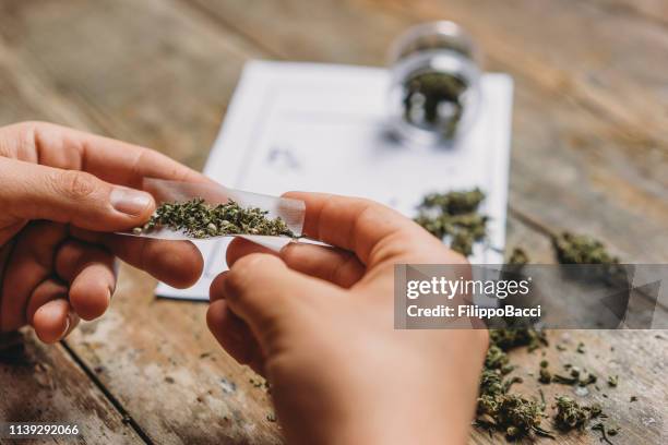 young adult man rolling a marijuana joint - marijuana joint imagens e fotografias de stock