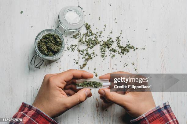 jonge volwassen mens die een marihuanaverbinding rolt - stick plant part stockfoto's en -beelden