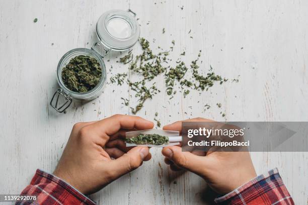 young adult man rolling a marijuana joint - de rola imagens e fotografias de stock