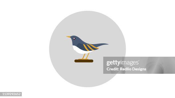 spatrow-vogelsymbol - charming stock-grafiken, -clipart, -cartoons und -symbole