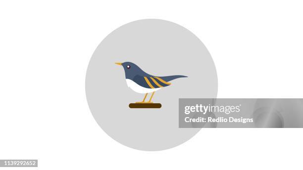 sparrow bird icon - chipping sparrow stock illustrations