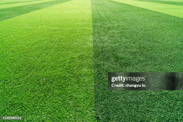 playground,green grass,lawn - soccer turf stock pictures, royalty-free photos & images