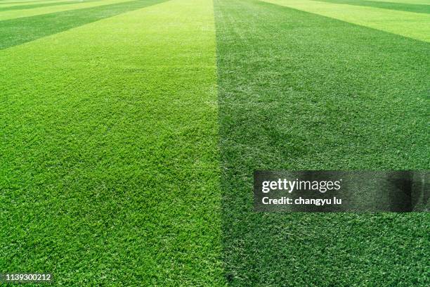 playground,green grass,lawn - football texture stock pictures, royalty-free photos & images