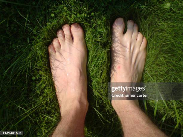 adult male bare feet on grass. - male feet imagens e fotografias de stock