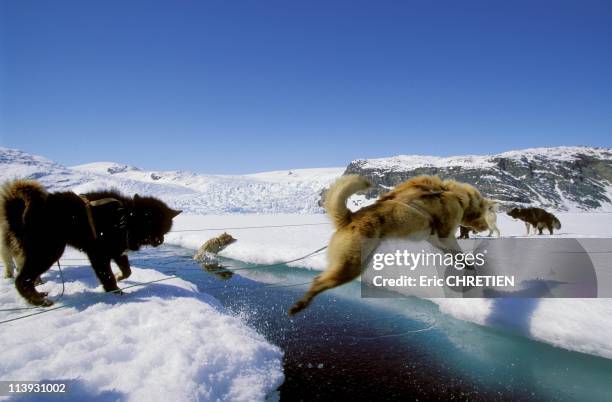 23 Max Audibert Photos & High Res Pictures Getty Images