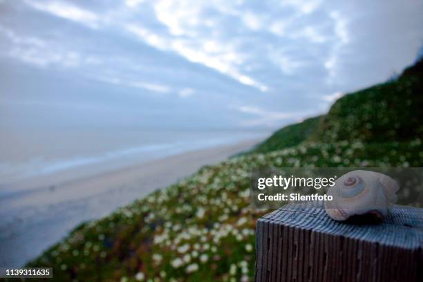 Post Shell Beach Posto Shell Photos and Premium High Res Pictures - Getty Images
