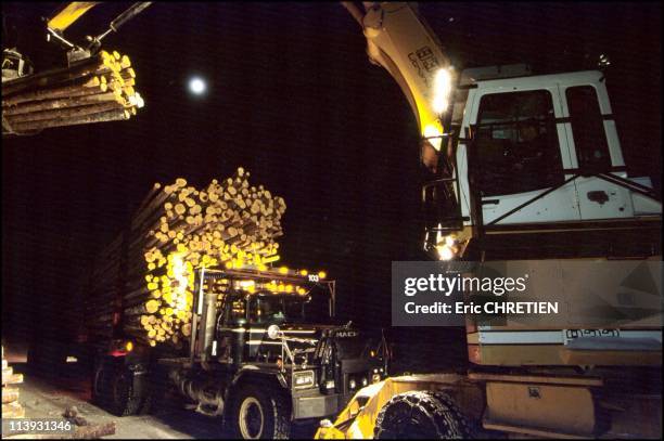 Log Loading, Transport Of Wood, Saguenay, In Quebec, Canada In 2000-24 hours over 24, full moon or not, the mechanical arm loaders stacked with the...