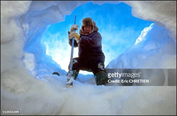 Pick Of The Mold In Ice, Wakeham Bay, Nunavik, Canada In Nunavik, Canada In 2000-Urpignak, an Inuk from Kangiqsujuaq Expanded with his ice pick a...