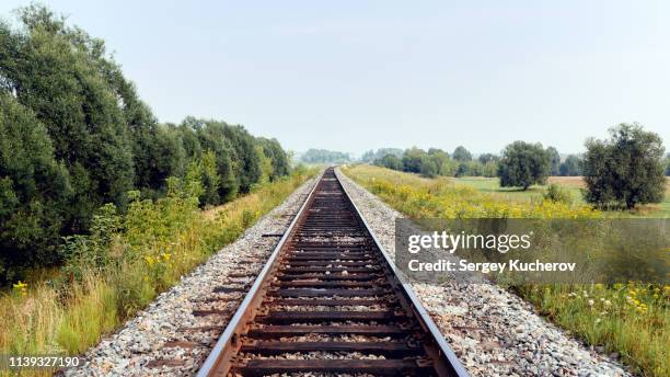 railroad track between green trees and meadows leading to the horizon - tramway stock pictures, royalty-free photos & images