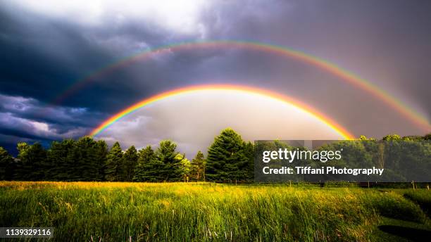 double rainbow over pasture with evergreen trees and clouds - arco iris doble fotografías e imágenes de stock