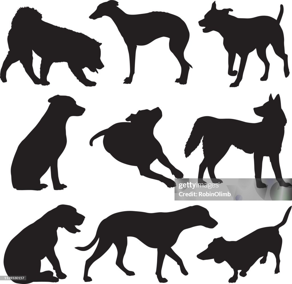 Silhuetas do cão