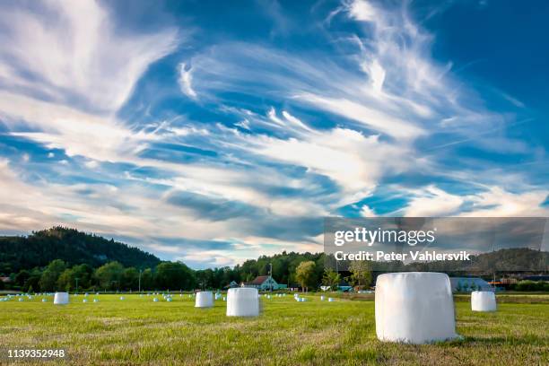 bolas de ensilaje contra el cielo azul vibrante - balas fotografías e imágenes de stock