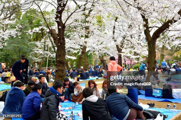 花見のための大群衆 (花見)、上野公園、東京。 - 花見 ストックフォトと画像