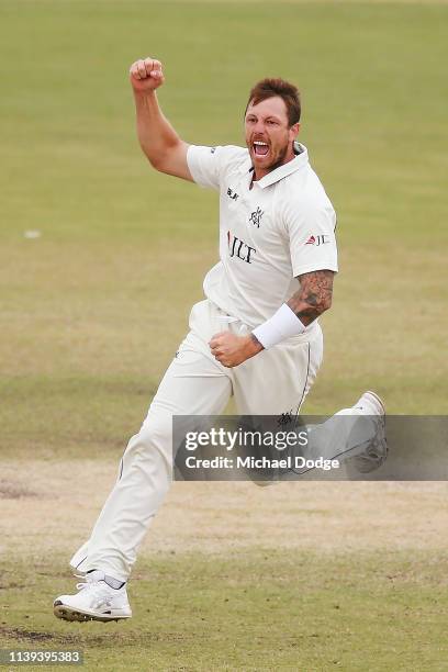 James Pattinson of Victoria celebrates the wicket of Jack Edwards of New South Wales during day four of the Sheffield Shield Final match between...