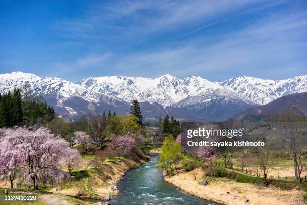 hakuba spring - nagano prefecture stock pictures, royalty-free photos & images