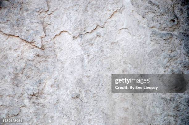 white limestone texture - kalkstein stock-fotos und bilder