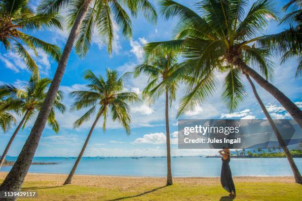 sole woman standing under palm trees looking out to sea - whitsunday island stockfoto's en -beelden