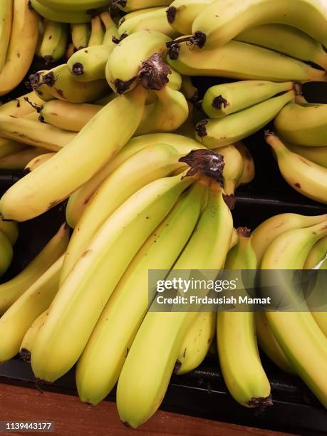 fresh cavendish bananas - musa acuminata cavendish fotografías e imágenes de stock