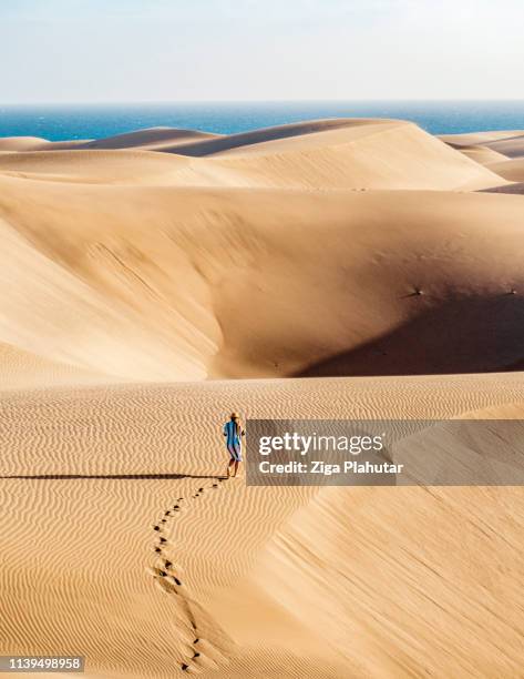 verloren diep in de duinen in de sahara woestijn - panorama dubai stockfoto's en -beelden