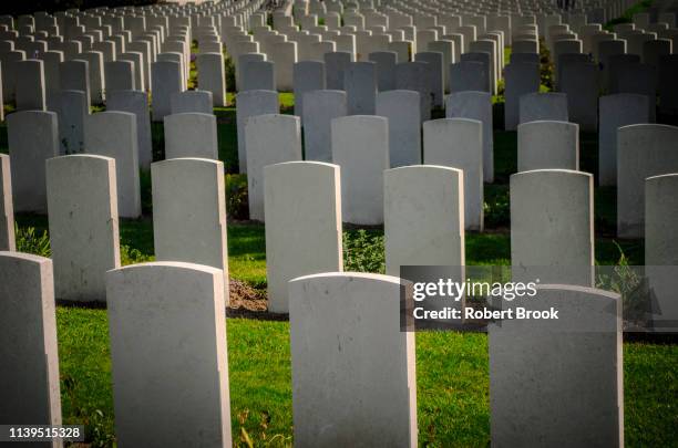 graves of commonwealth soldiers who died in wwi (seen from rear) at tyne cote cemetery, ypres salient, belgium - tomba luogo di sepoltura foto e immagini stock