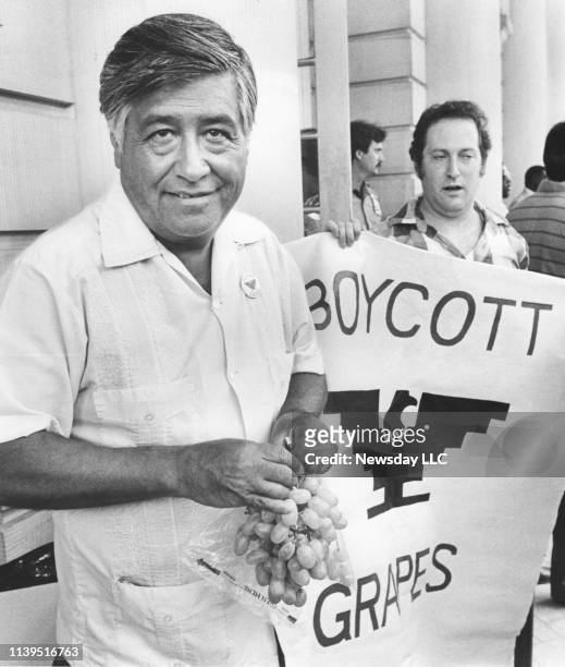 Activist Cesar Chavez stands in front of a "Boycott Grapes" poster and holds a sample bunch of California grapes on the steps of City Hall in...