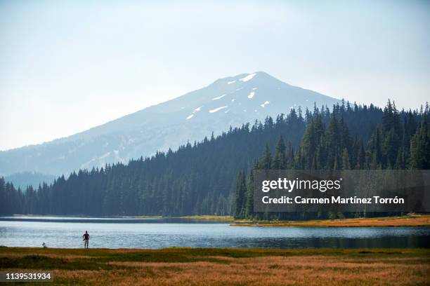 mt bachelor view from todd lake bend, oregon - mount hood nationalpark stock-fotos und bilder