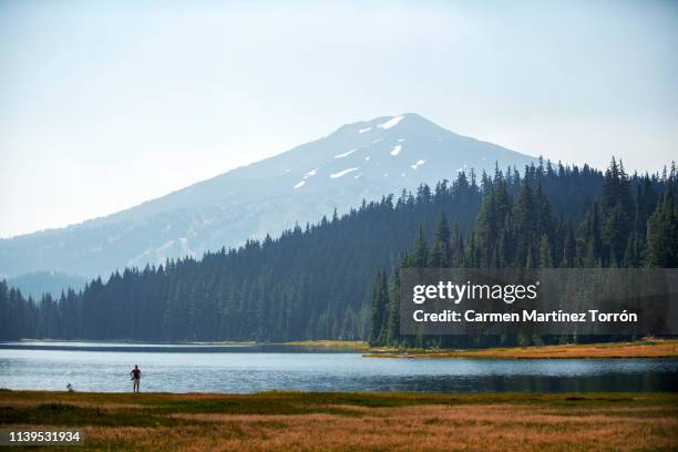 mt bachelor view from todd lake bend, oregon - cascade range stock pictures, royalty-free photos & images
