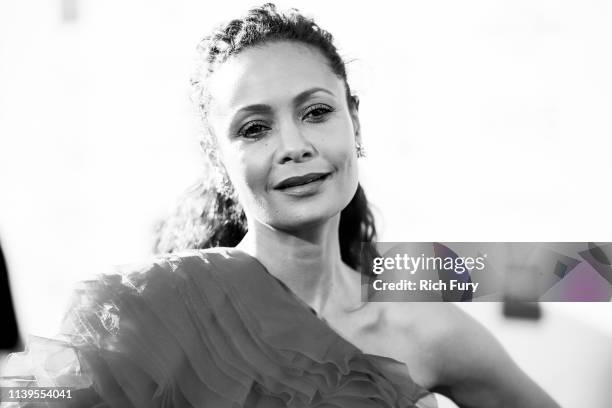 Thandie Newton attends the 50th NAACP Image Awards at Dolby Theatre on March 30, 2019 in Hollywood, California.