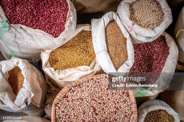 bags of beans - agriculture stock photos et images de collection