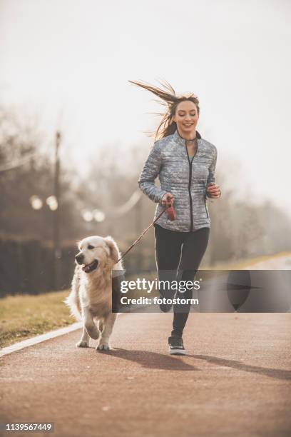 frau und ihr hund trainieren zusammen - frauen hund park stock-fotos und bilder